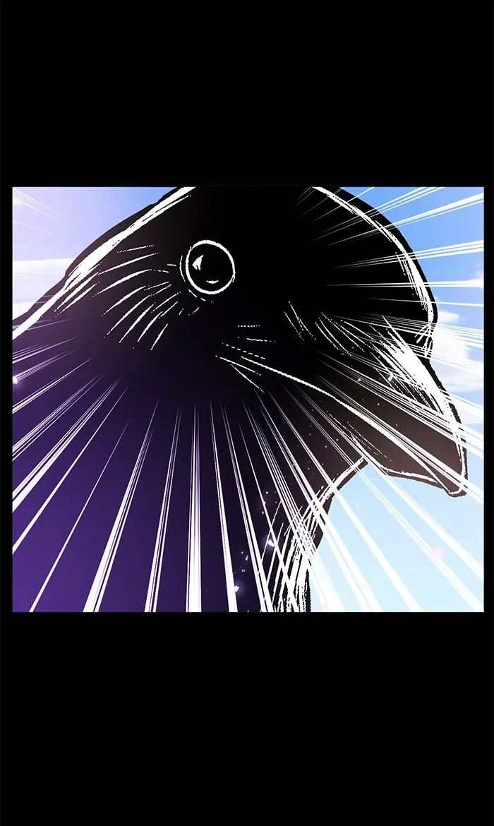 chapter page 38